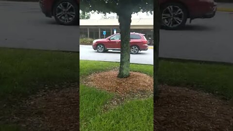 #gangstalker mocking my poverty & #homelessness