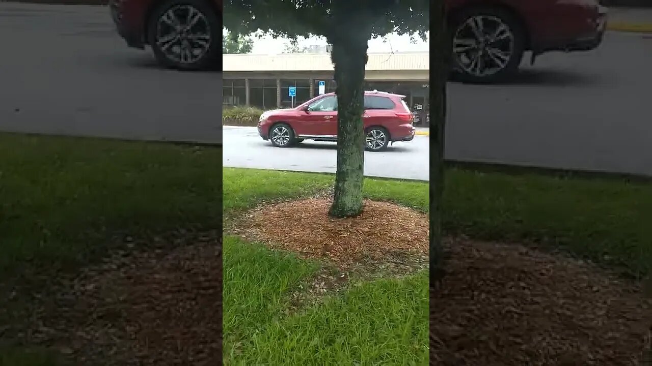 #gangstalker mocking my poverty & #homelessness