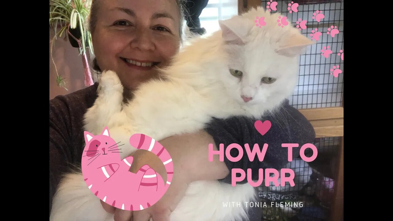 Purr View: How To Purr and its Benefits