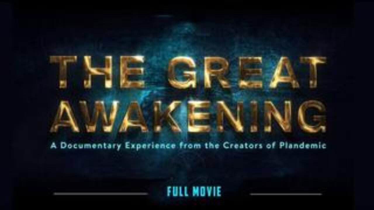 PLANDEMIC 3: THE GREAT AWAKENING - by Mikki Willis