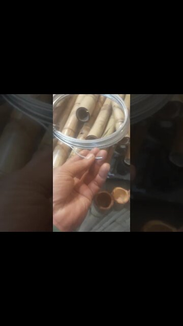 cerca de bambu cana da Índia para jardim