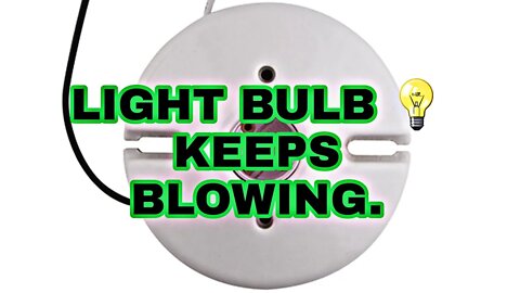 Light Bulb Keeps Blowing | Tools That I Use | Quinn Trim.