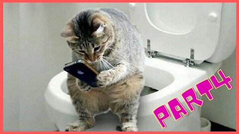 funny pet animals with her owner4