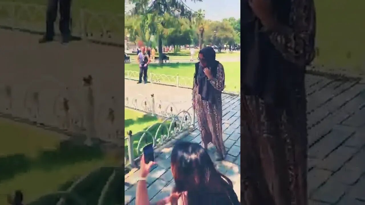 A cat snoring loud in park on chair