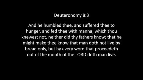 Deuteronomy Chapter 8