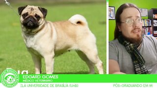 Como saber se meu Cachorro está no peso correto? | Dr. Edgard Gomes | Alimentação natural para Cães