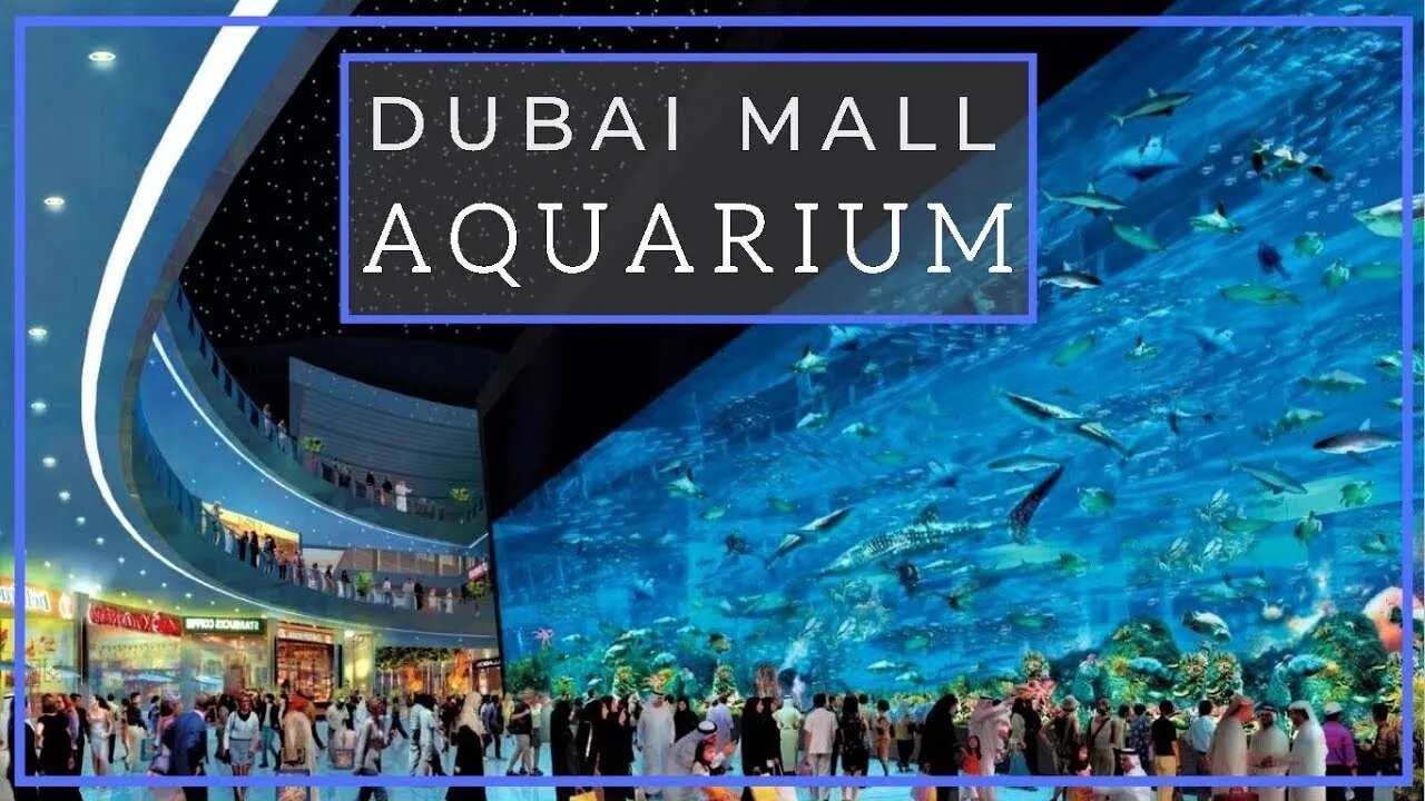 Dubai Aquarium and Underwater Zoo Guinness World Record