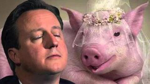 David Cameron and PigGate - 'Relations with a Pig's Head'