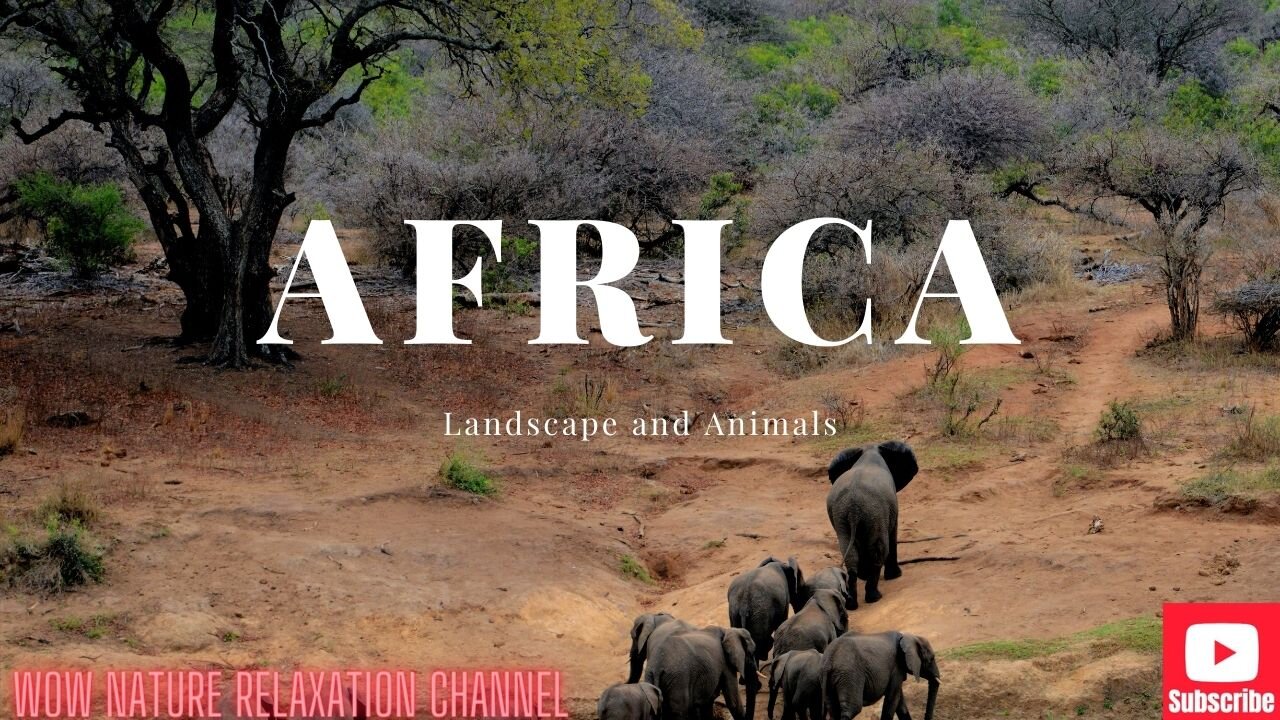 Africa 4K - Scenic Relaxation Film With African Music