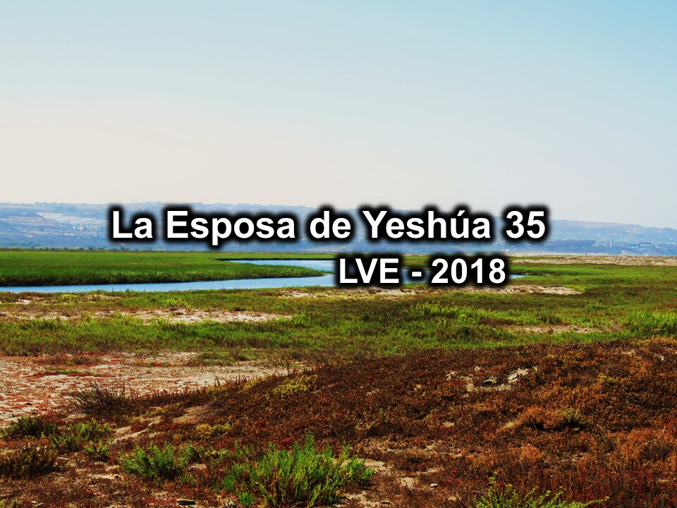 La Esposa de Yeshúa 35 - YHWH Ekjad 14