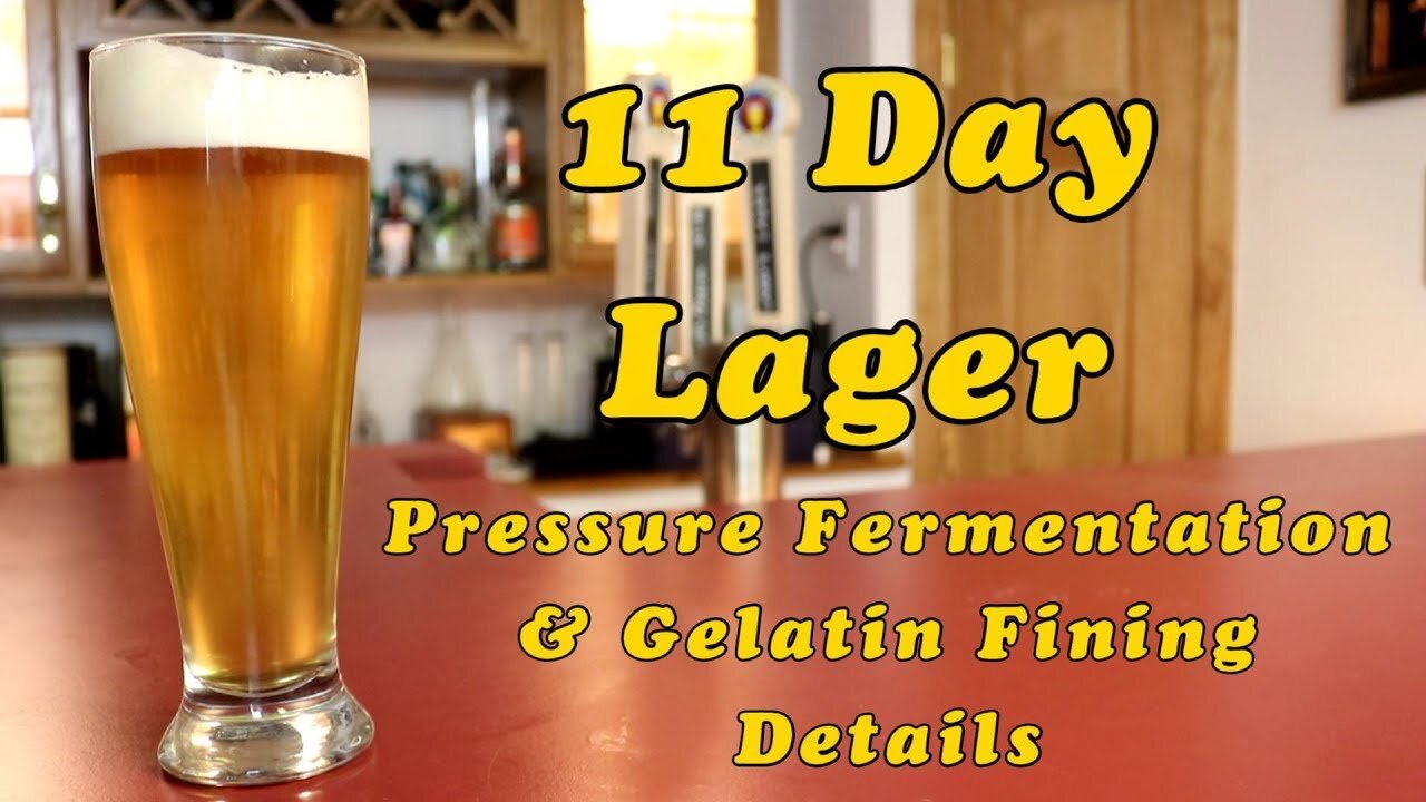 Larry's Quick Lager (Munich Helles): Pressure Fermentation & Gelatin Fining Details