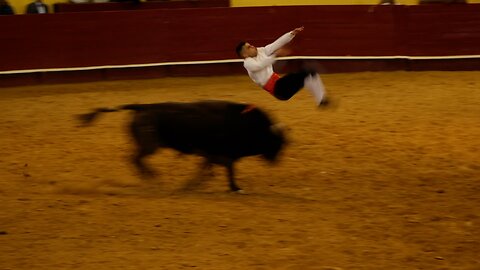 Men jumping over a charging bull