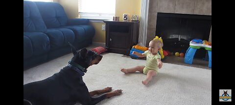 Dog playing in children