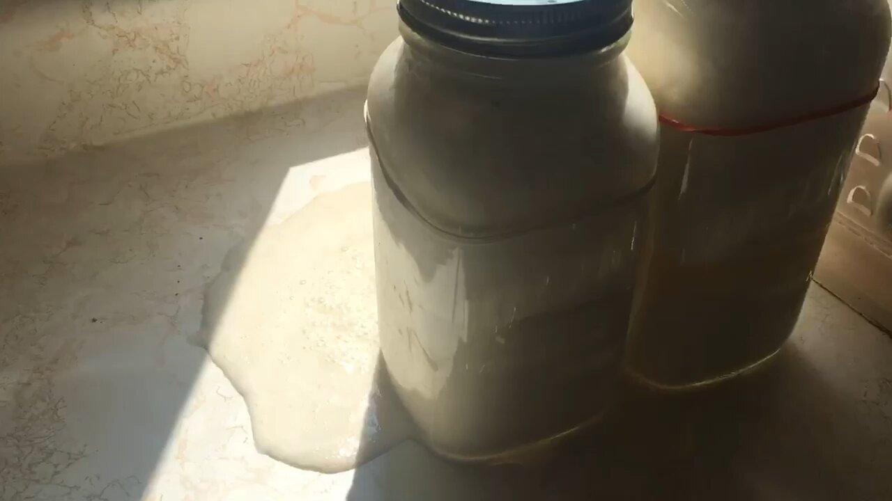 Sourdough starter exploded on counter