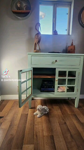 Beautiful small cabinet all dolled up!