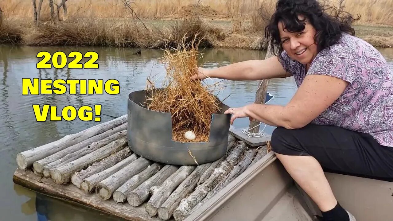 Farm pond vlog!