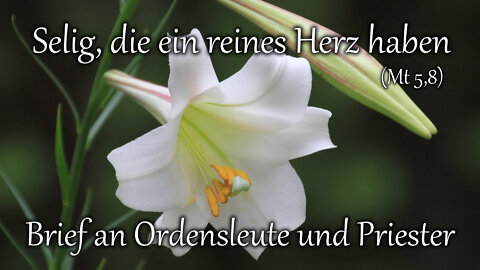 Selig, die ein reines Herz haben (Mt 5,8). Brief an Ordensleute und Priester