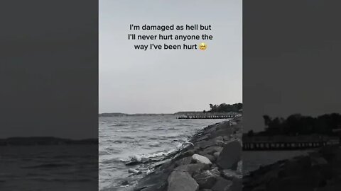 Quotes Of The Day|| Daily Life quotes|| Great Quotes for you.. #shorts Number-(2)