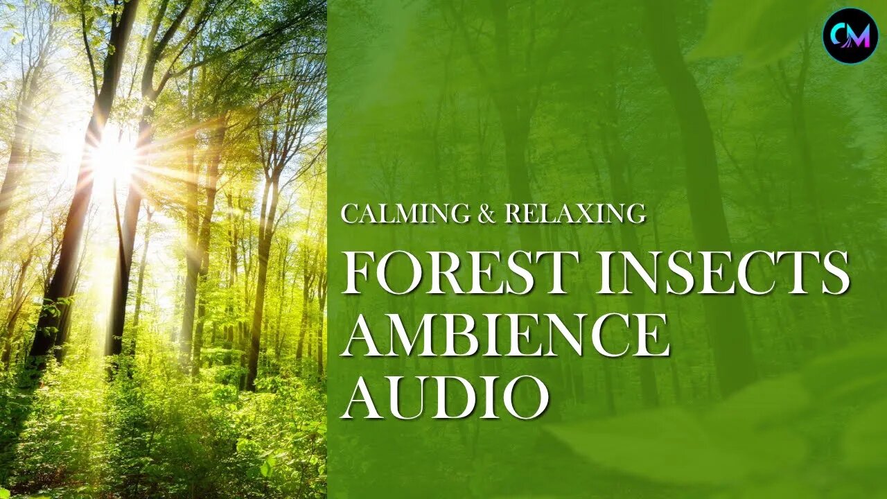 Forest Insects (Nature Audio) - Calming & Relaxing Ambience