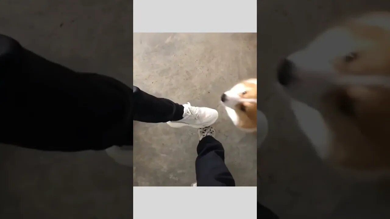 We are family 🐾 🐶💙