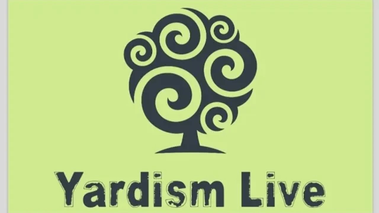 Yardism Live 6-13-22