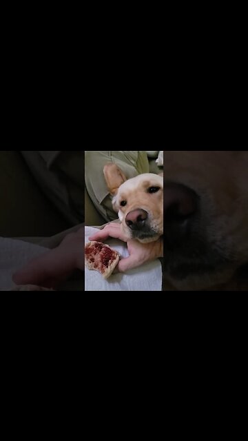 How Bad Do You Want It Rocky?