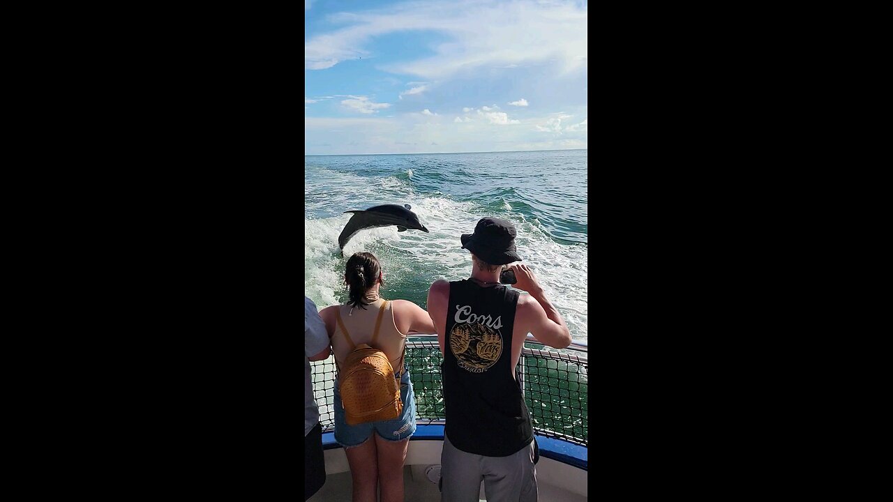 Boating with Dolphins.