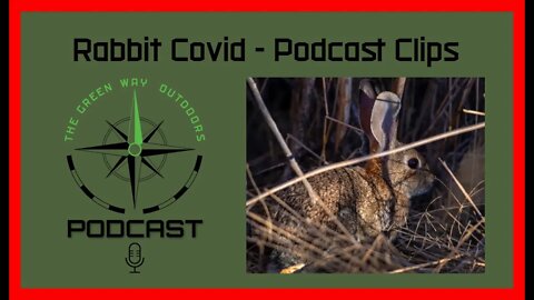 Rabbit Covid - TGWO Podcast Clips