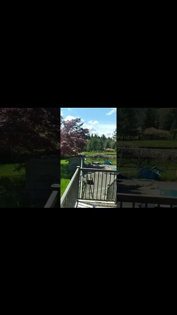 Lancaster Meadows May 11, 2022-!-