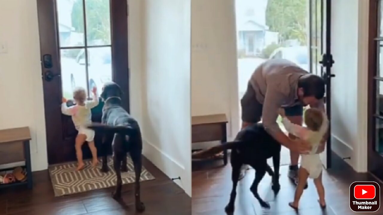 Little girl and doggy get so excited when daddy comes home from work