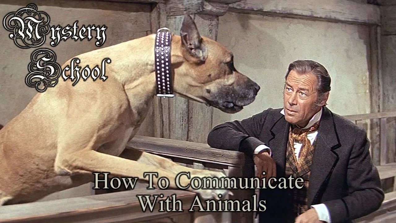 How To Communicate With Animals - Mystery School 107