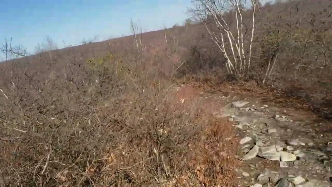 Beautiful view of Poconos and Pine Barrens of Pennsylvania