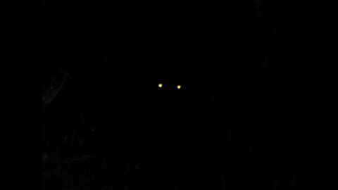IT'S BEEN STALKING QUIETLY IN THE SHADOWS AND SOON IT SHALL STRIKE WITH A GREAT FURY