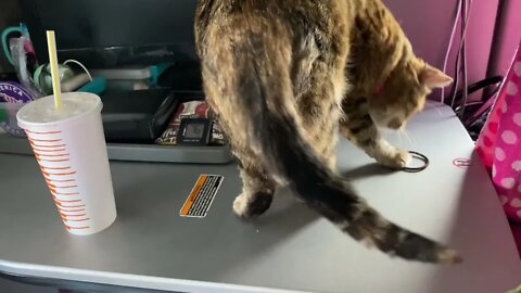 That one is mine!