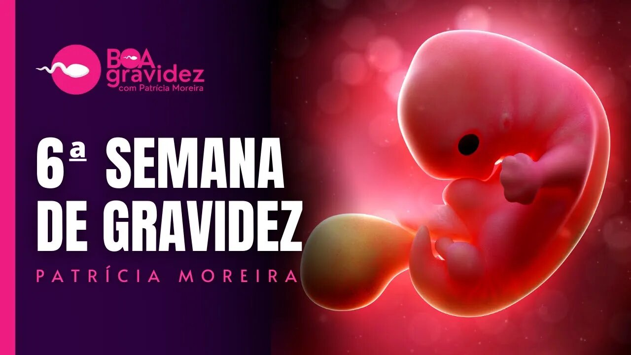 6 SEMANAS DE GRAVIDEZ - Gravidez Semana a Semana com Patrícia Moreira