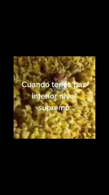 cuando tienes paz interior nivel supremo !!!!!!