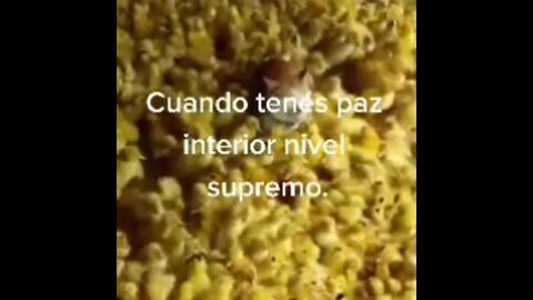cuando tienes paz interior nivel supremo !!!!!!