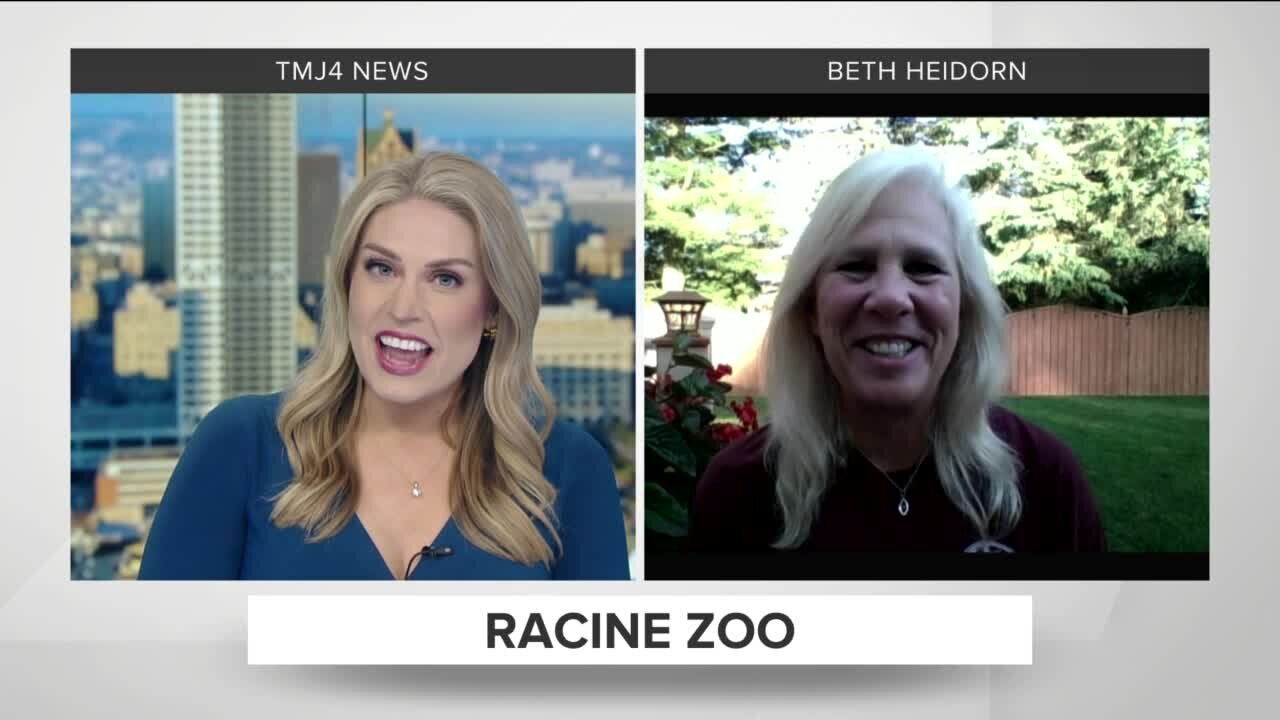 Racine Zoo discusses upcoming July events