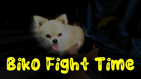 Biko Fight Time