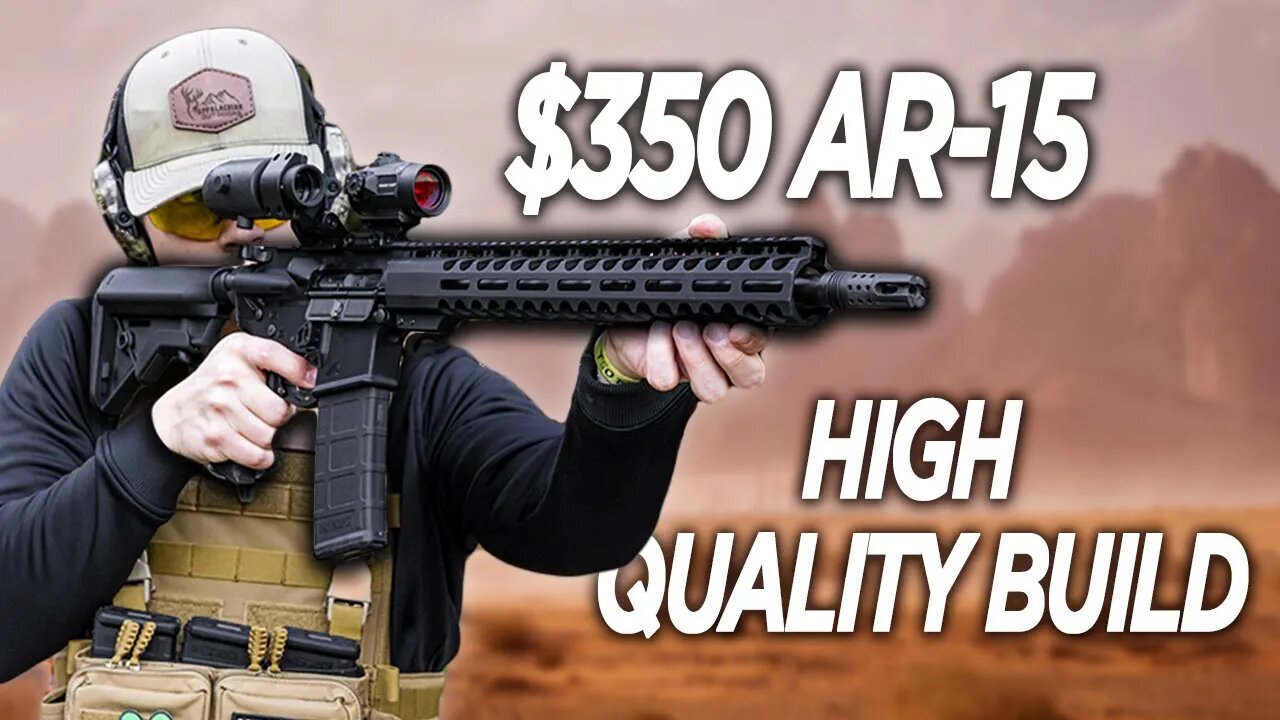 AR-15 RIFLE FOR $350 IN 2022?! (REVIEW AND HOW TO!)