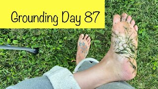 Grounding Day 87 - wiggling worm