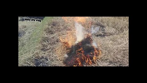 the shady pile is lit the fire is burning