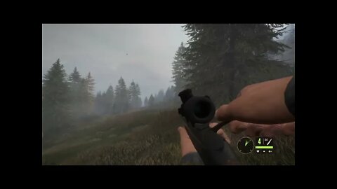 theHunter: Call of the Wild Chapter 17 Blacktail Deer!