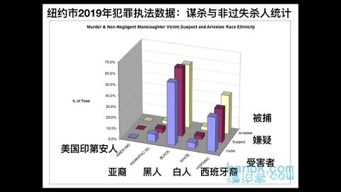 华裔到底受到了谁的歧视？谁仇恨华裔 ？- 20210329