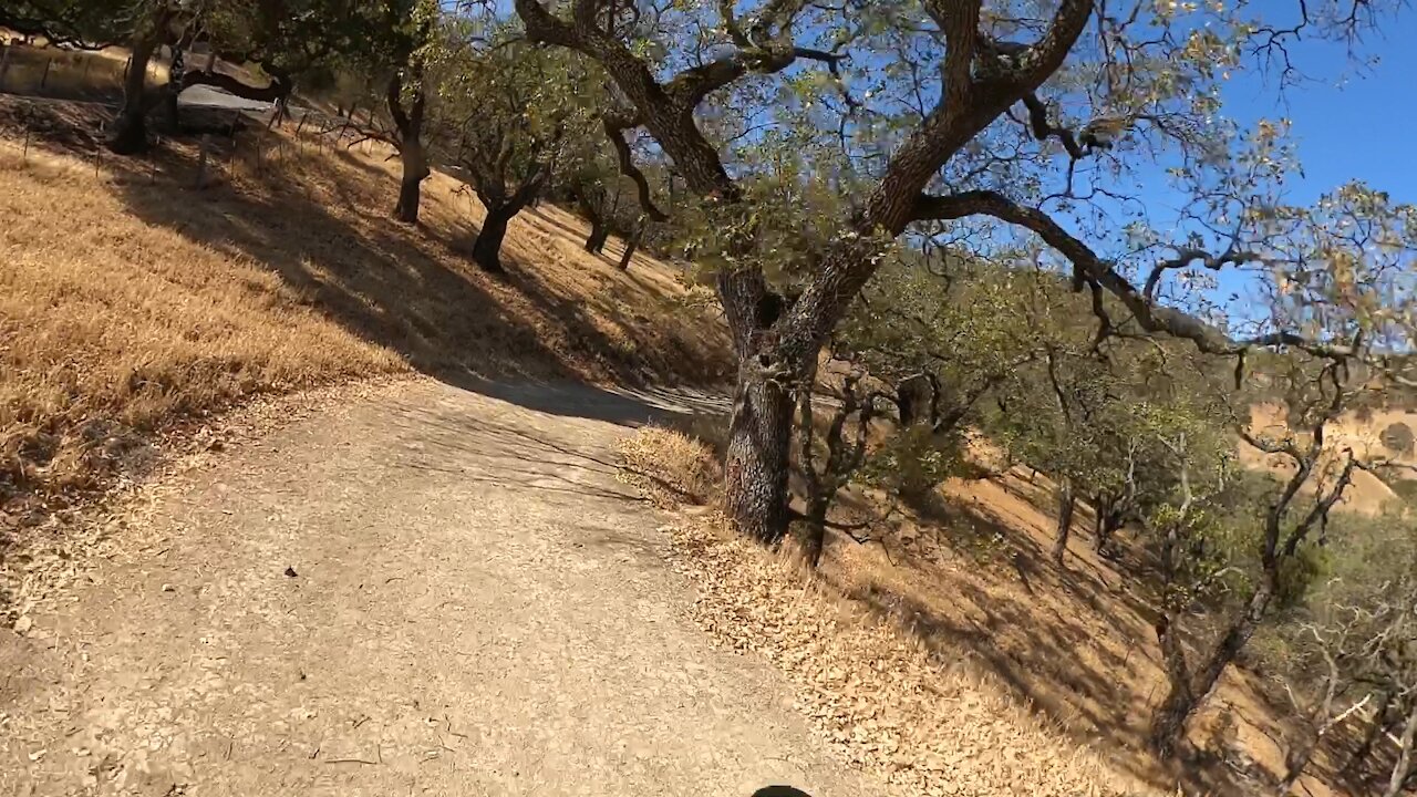 Briones Regional Park- Blue Oak Shortcut Trail