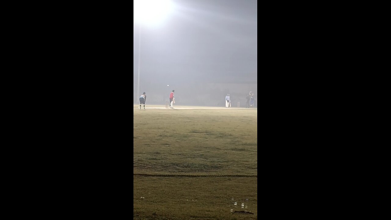 cricket shot