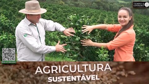 Quer produzir laranjas o ano todo? Com SH-24 da Lottus Biosolucões é possivel!!
