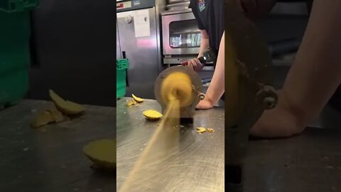 #shorts #2022 funny,prank,funjokes,dad jokes,funny memes,funny video,fun,laughing,funny animal,knock