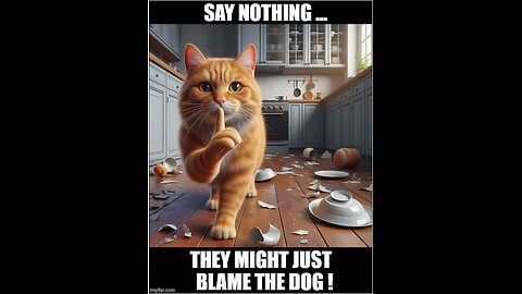 New Funny Animals 😂 Funniest Cats and Dogs Videos 😺🐶😍😍😍