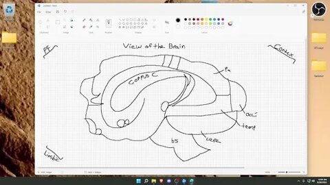 Session 2: Metagame (Paint, Typing, Aim Training) - Part 3 -